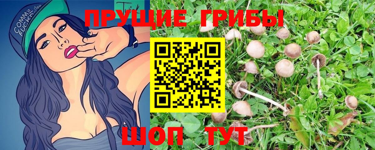 Галлюциногенные грибы Magic Shrooms Малгобек