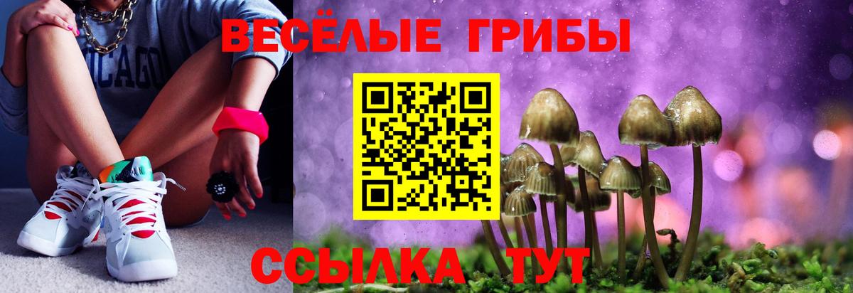 Малгобек  Псилоцибиновые грибы ЛСД  Галлюциногенные грибы Psilocybine cubensis  Вход с VPN 